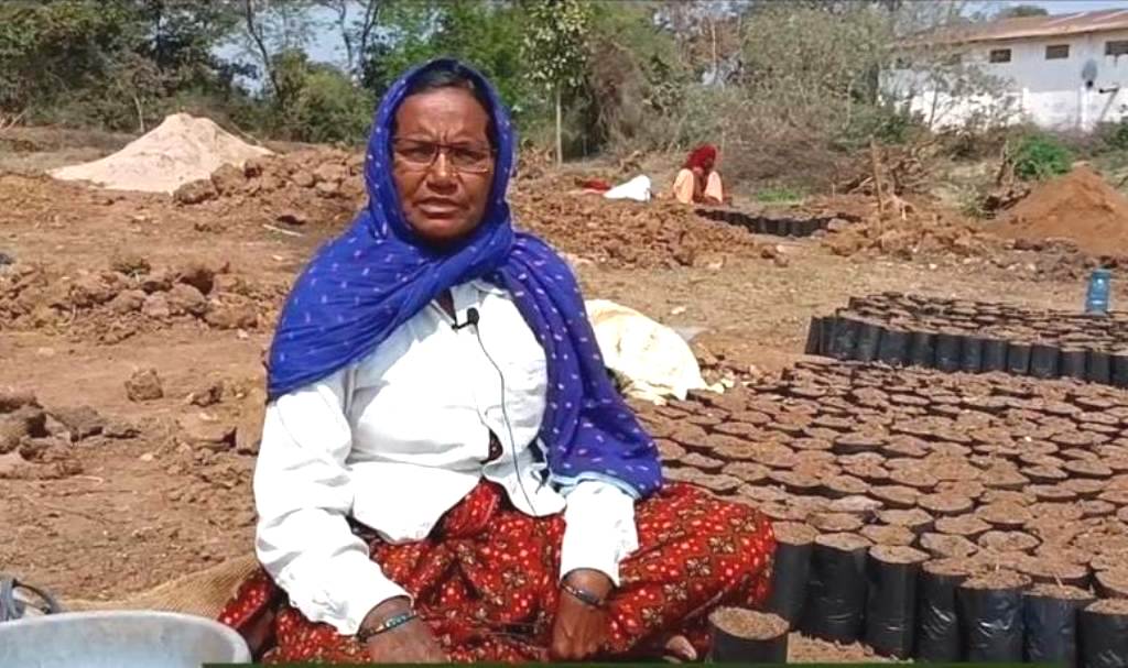 How Grow-Trees.com’s reforestation project generated 3000 workdays and employed 70% of women in Pench Tiger Reserve
